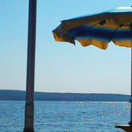 FIND YOUR SPOT IN THE SUN!